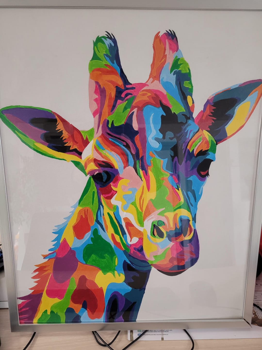 Customer photo review of Girafe Pop Art