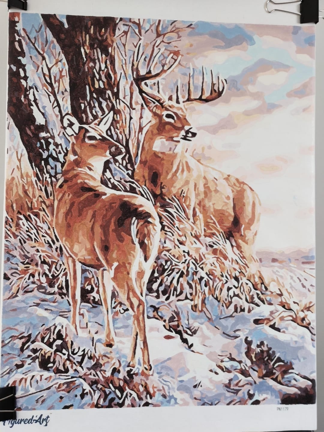 Customer photo review of Cerfs en Hiver
