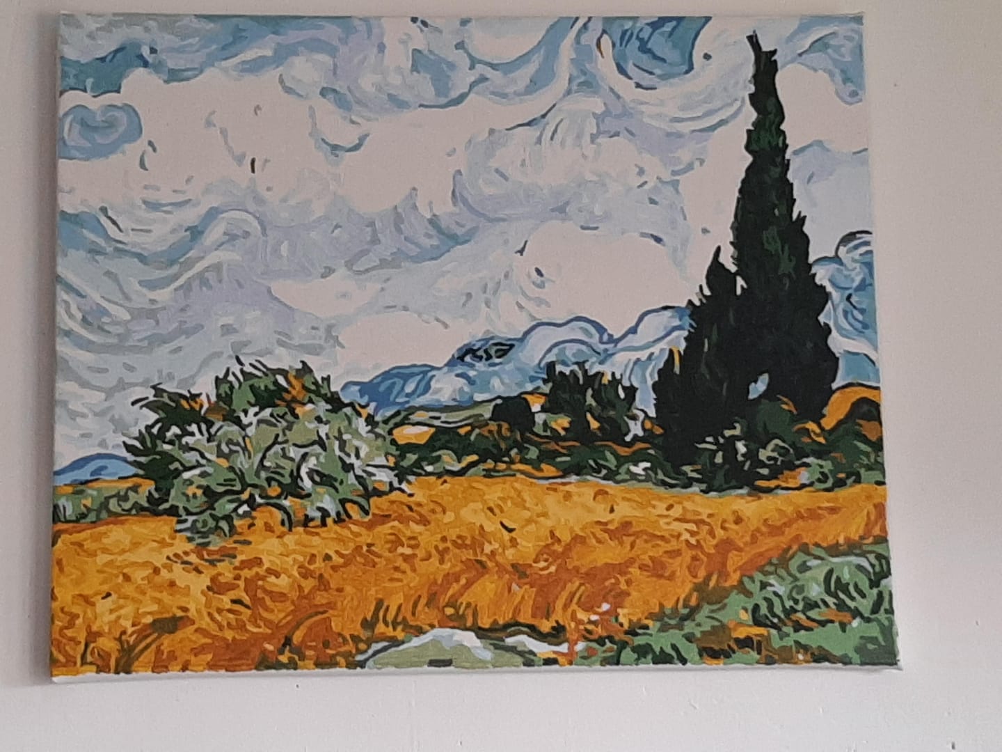 Customer photo review of Van Gogh - Ciel