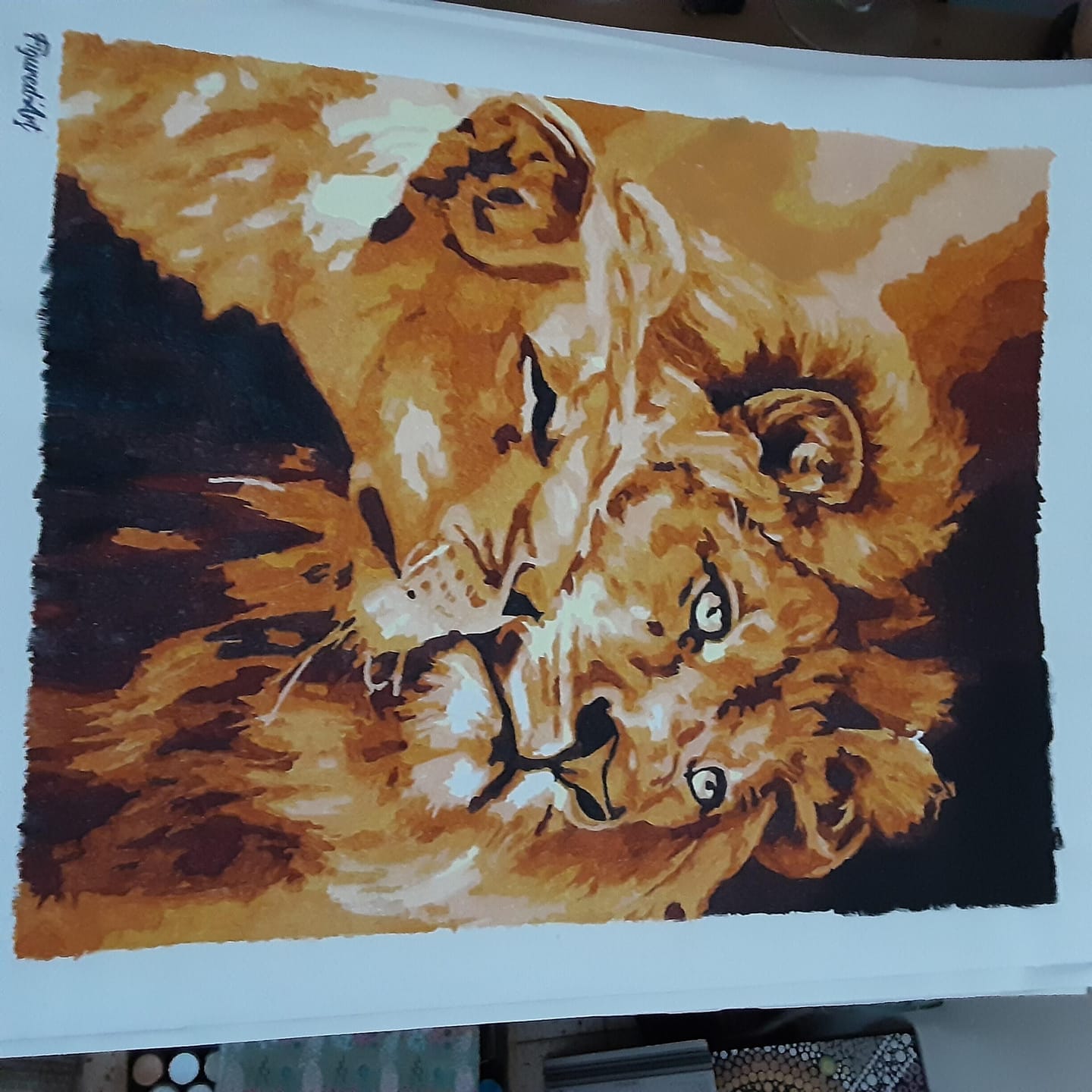 Customer photo review of Couple Lion et Lionne