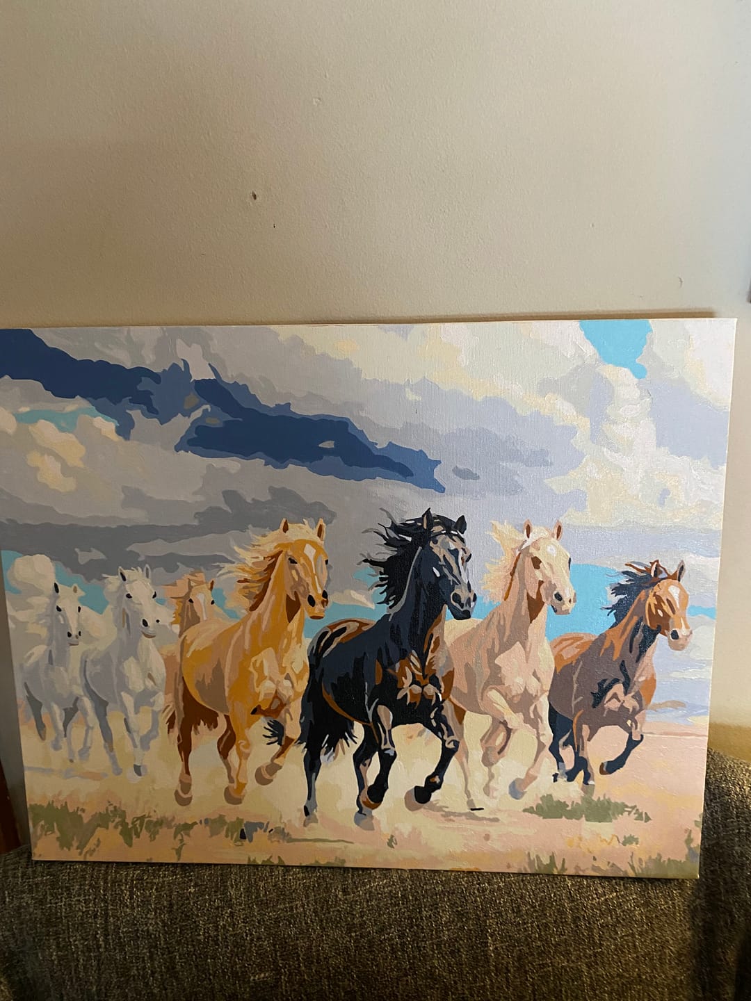 Customer photo review of Galloping Herd