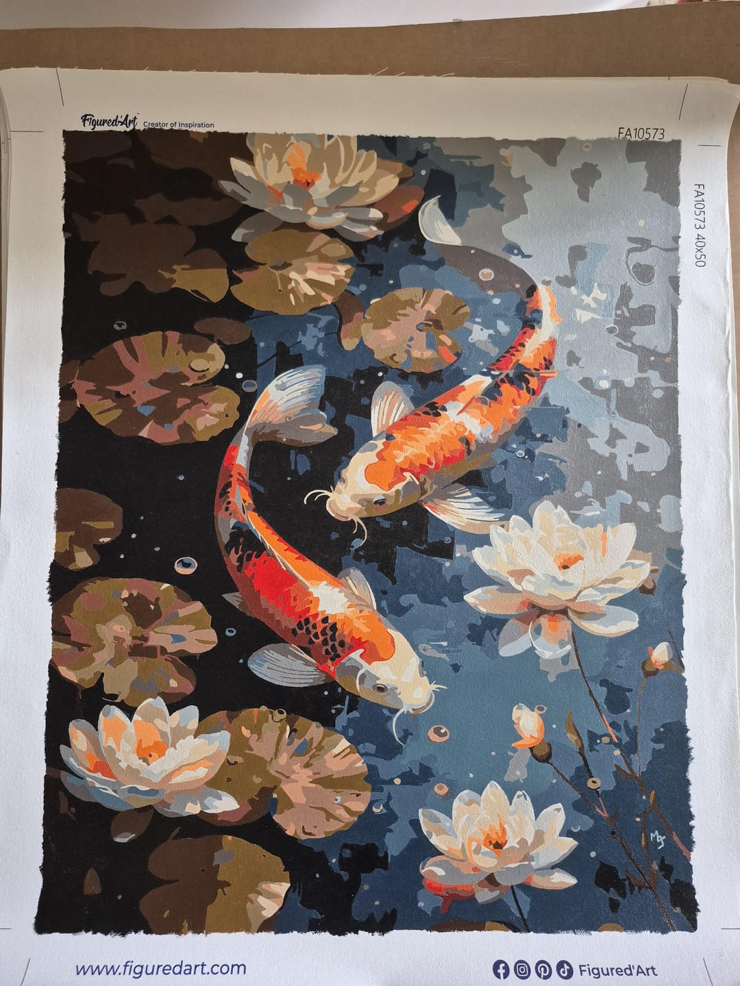 Customer photo review of Carpe Koï Vintage et Fleurs