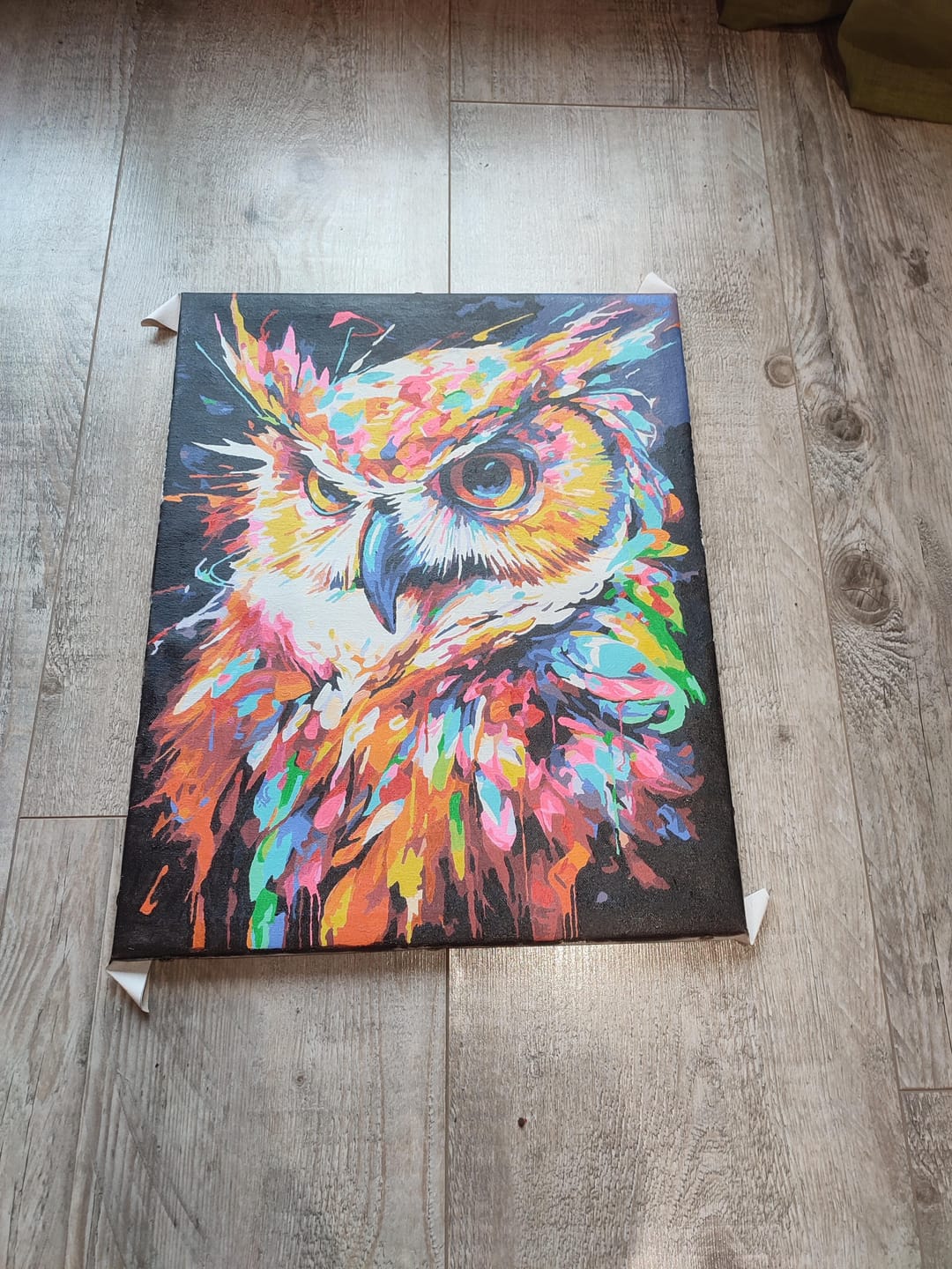 Customer photo review of Hibou Coloré Abstrait