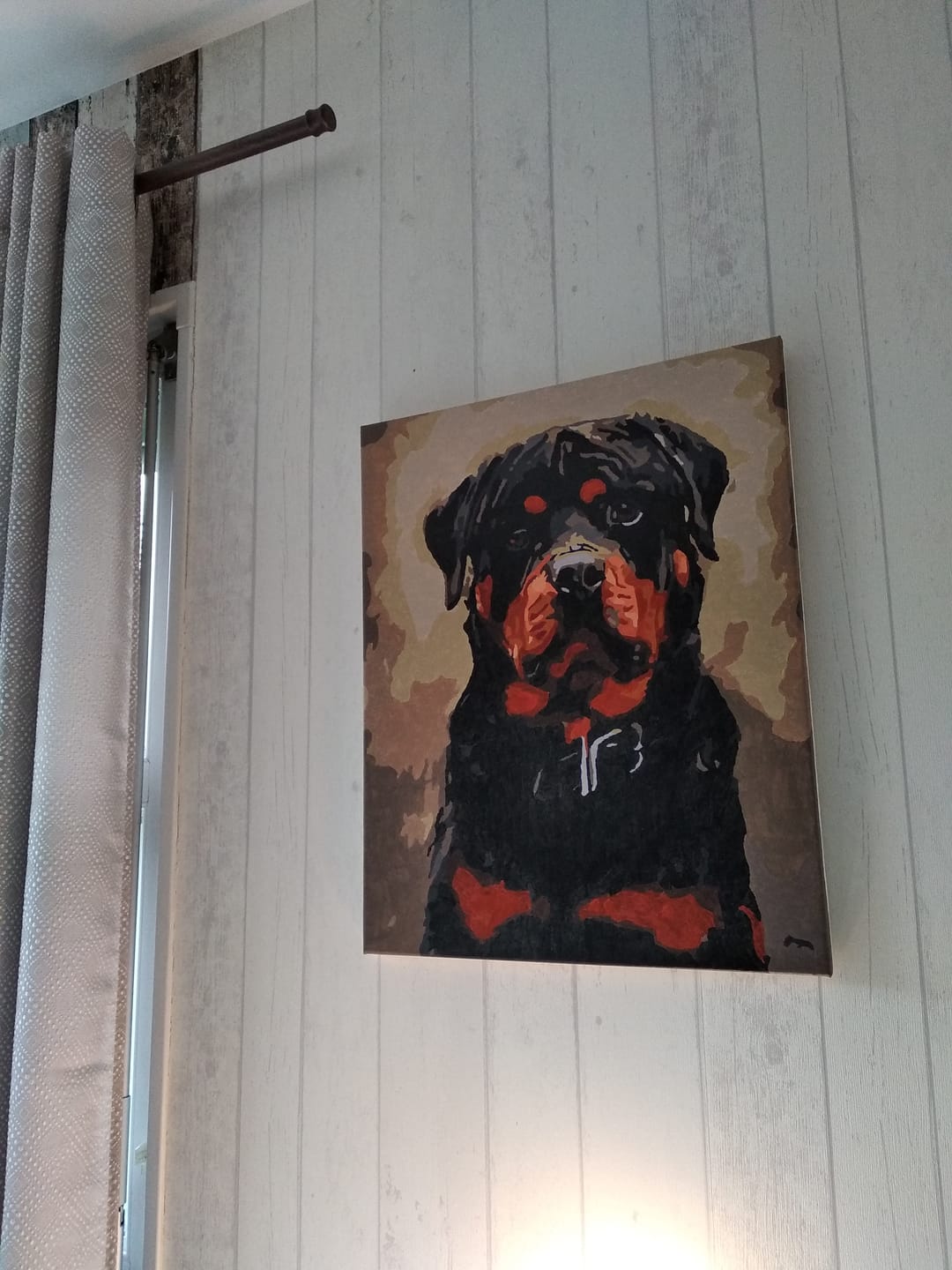 Customer photo review of Chien noir et marron