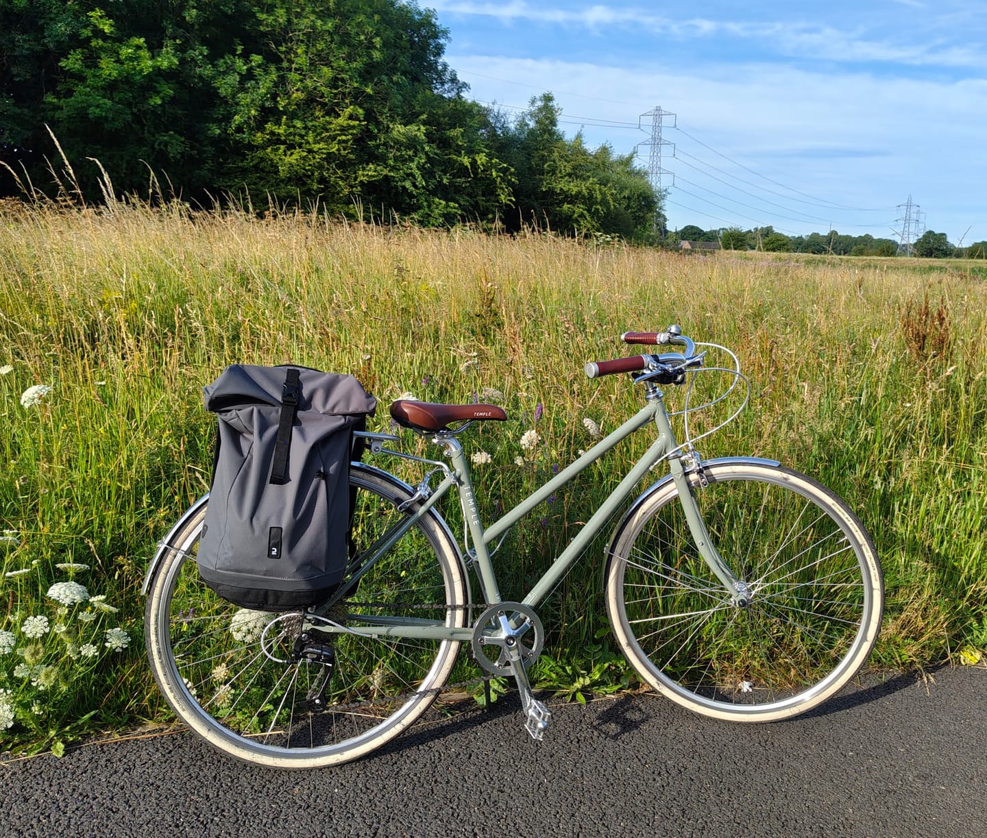 Customer photo review of Step Through Lightweight