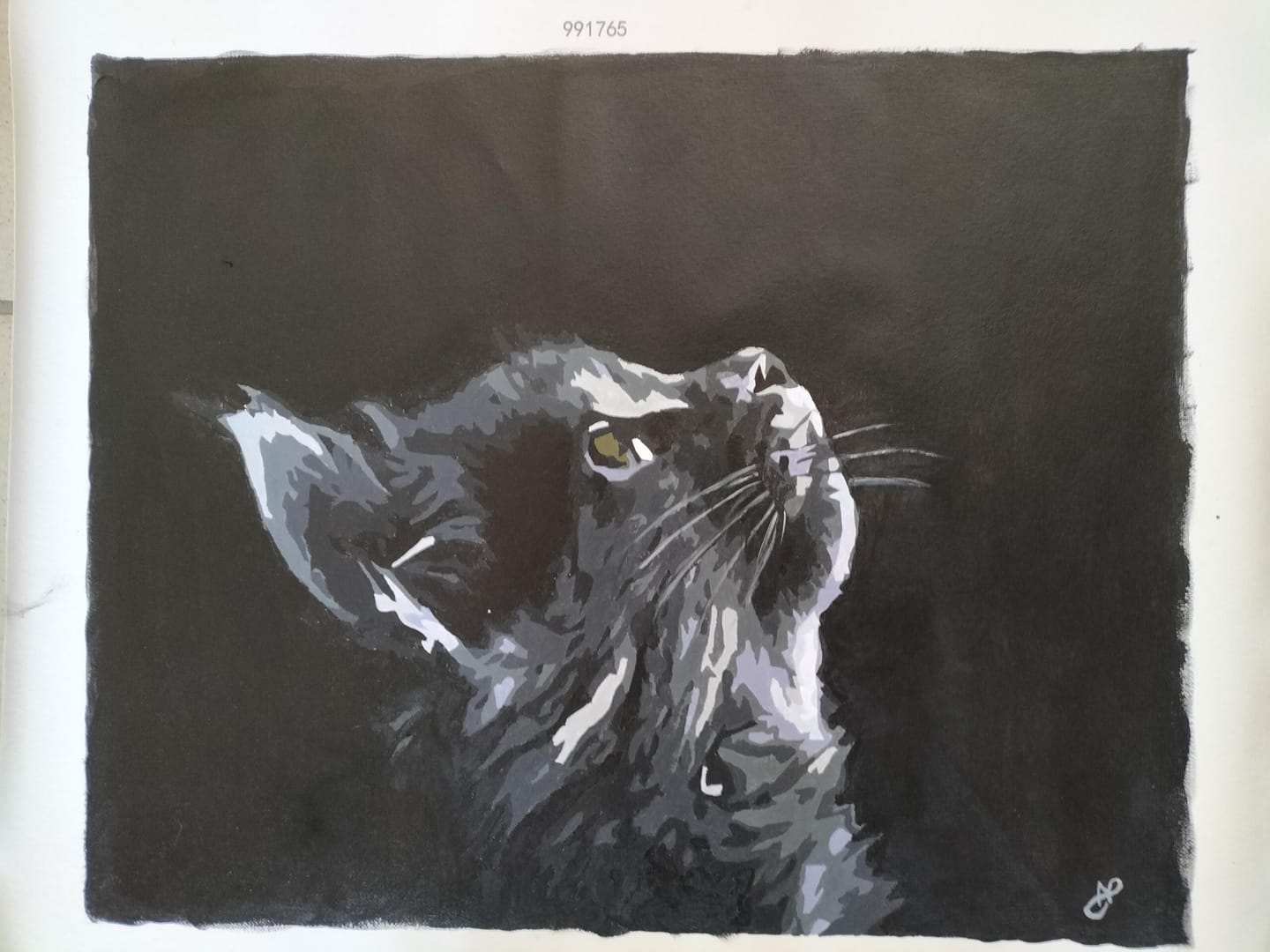 Customer photo review of Chat noir et gris