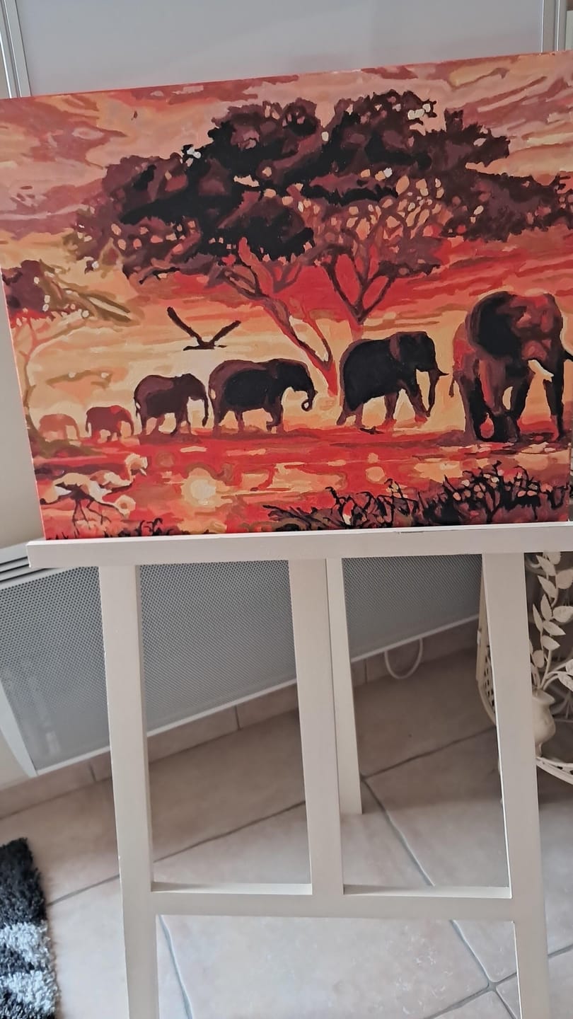 Customer photo review of Eléphants au Coucher du soleil