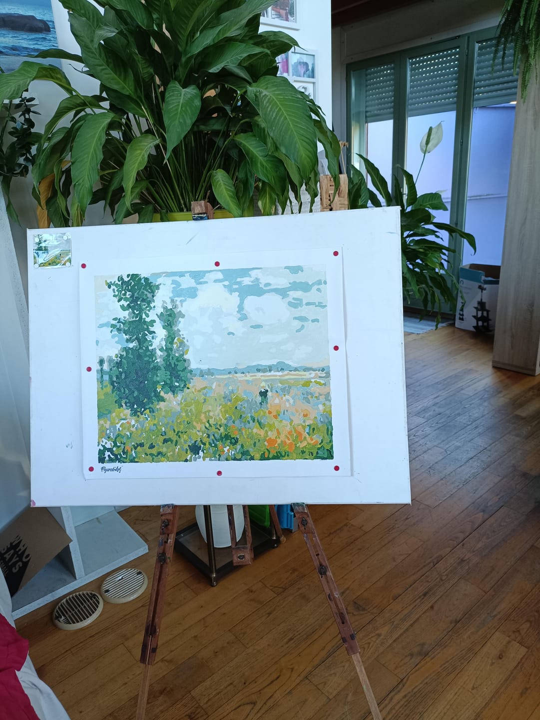 Customer photo review of Monet Champ de coquelicots