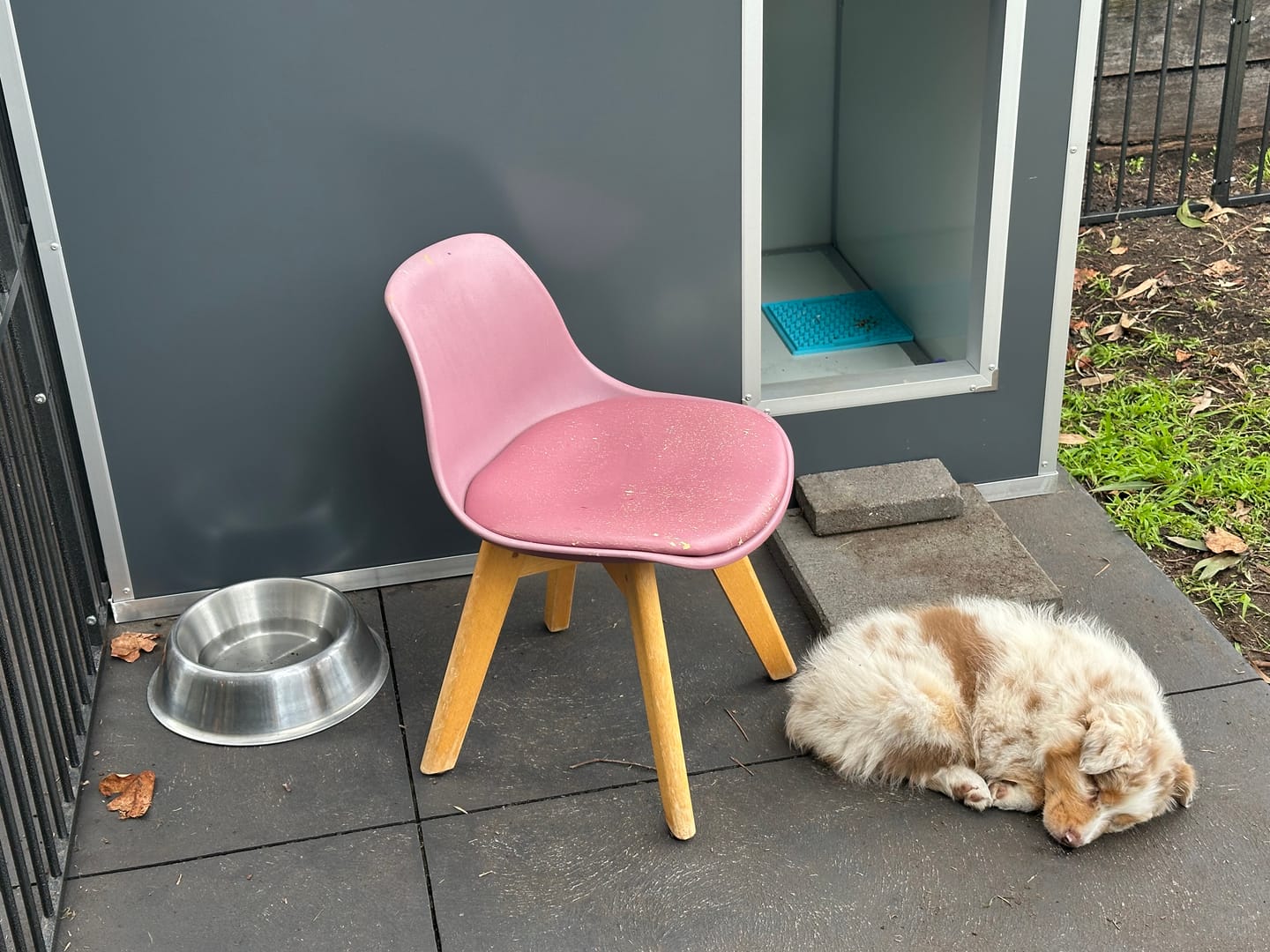 Customer photo review of CozyCube Coldroom Panel Insulated Dog House