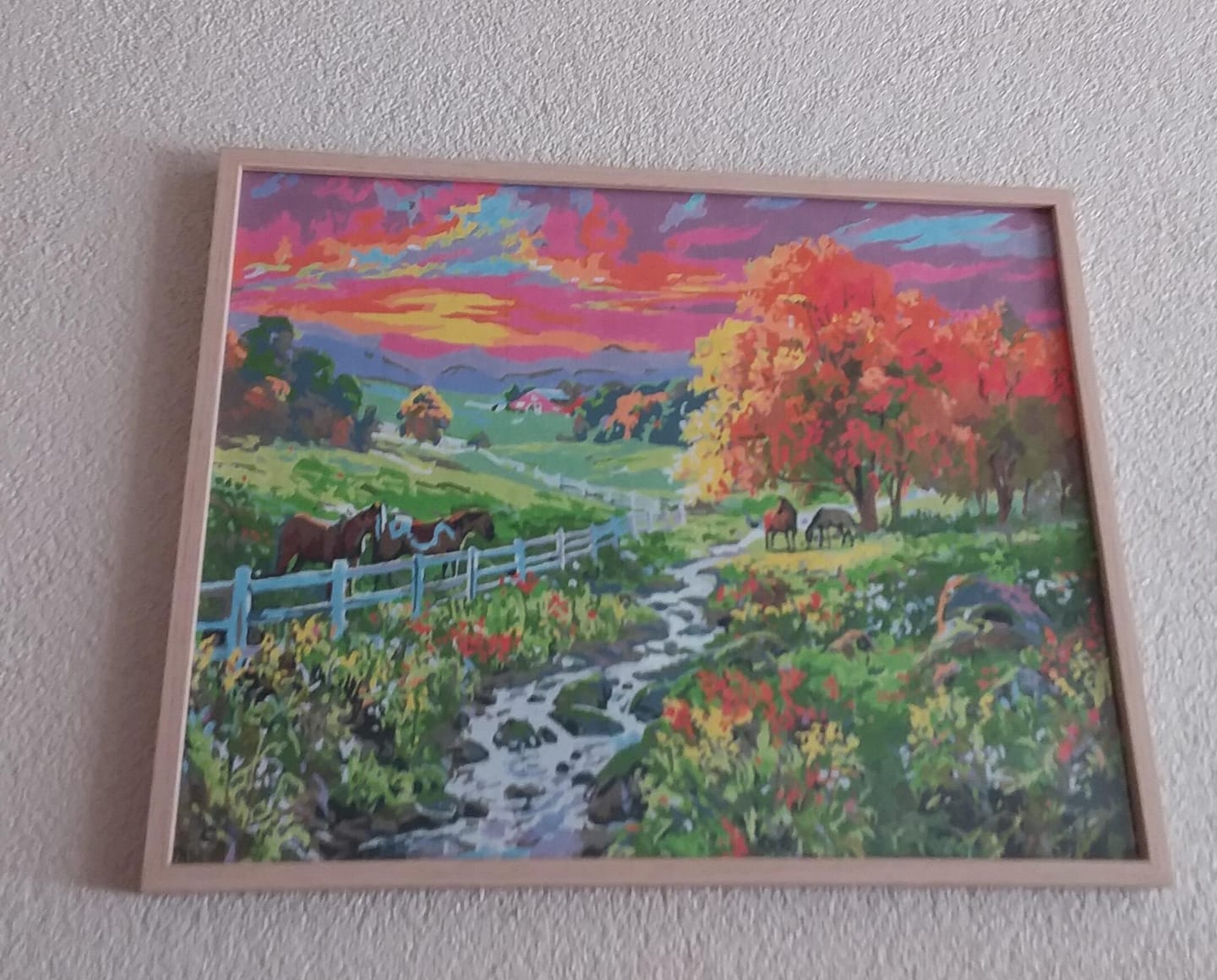 Customer photo review of Prairie ensoleillée