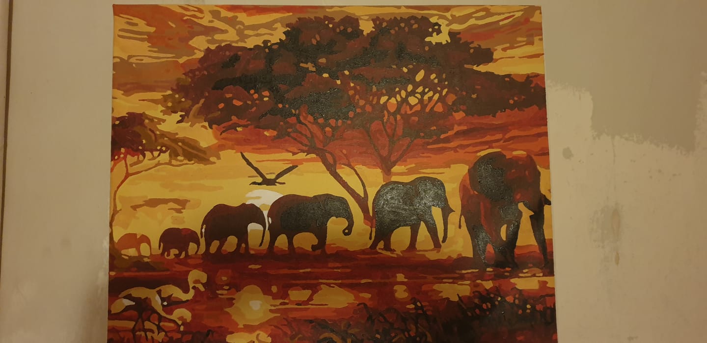 Customer photo review of Eléphants au Coucher du soleil