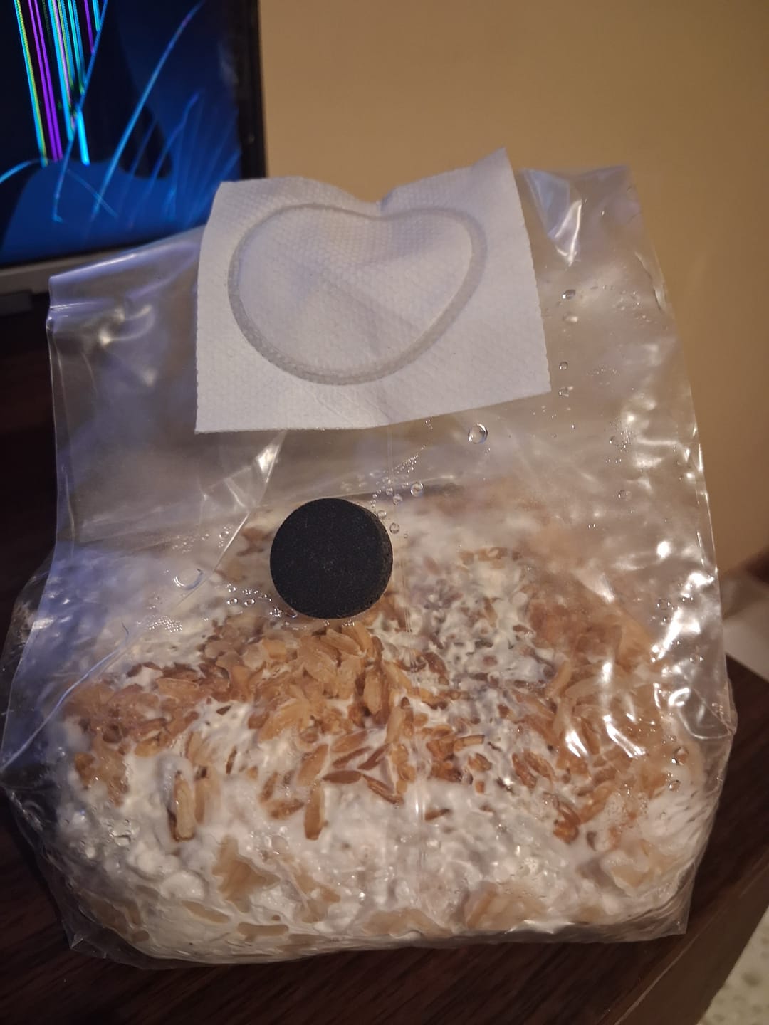 Customer photo review of Ayekan Box