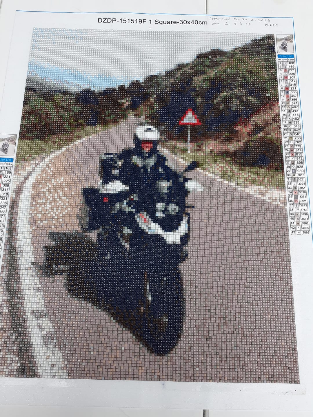 Customer photo review of Diamond Painting Personnalisé