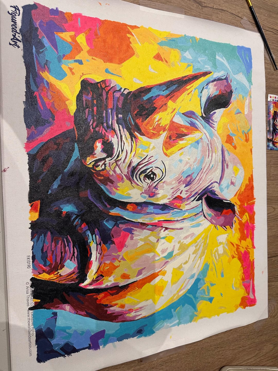 Customer photo review of Rhinocéros Coloré Abstrait