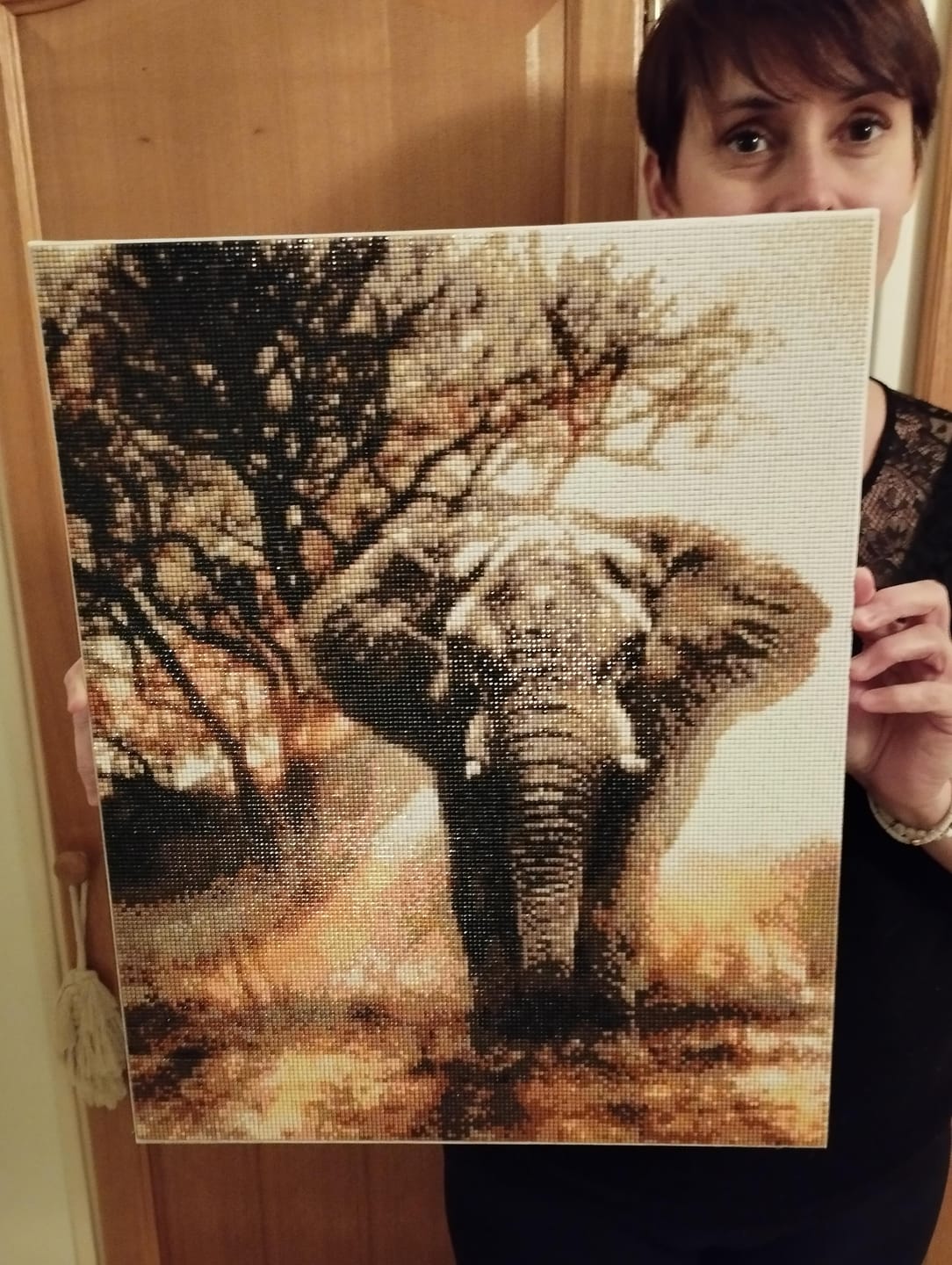 Customer photo review of Broderie Diamant - Eléphant dans la Savane 40x50cm toile tendue sur châssis