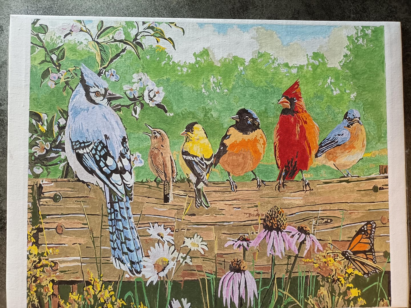Customer photo review of Des poules à la ferme