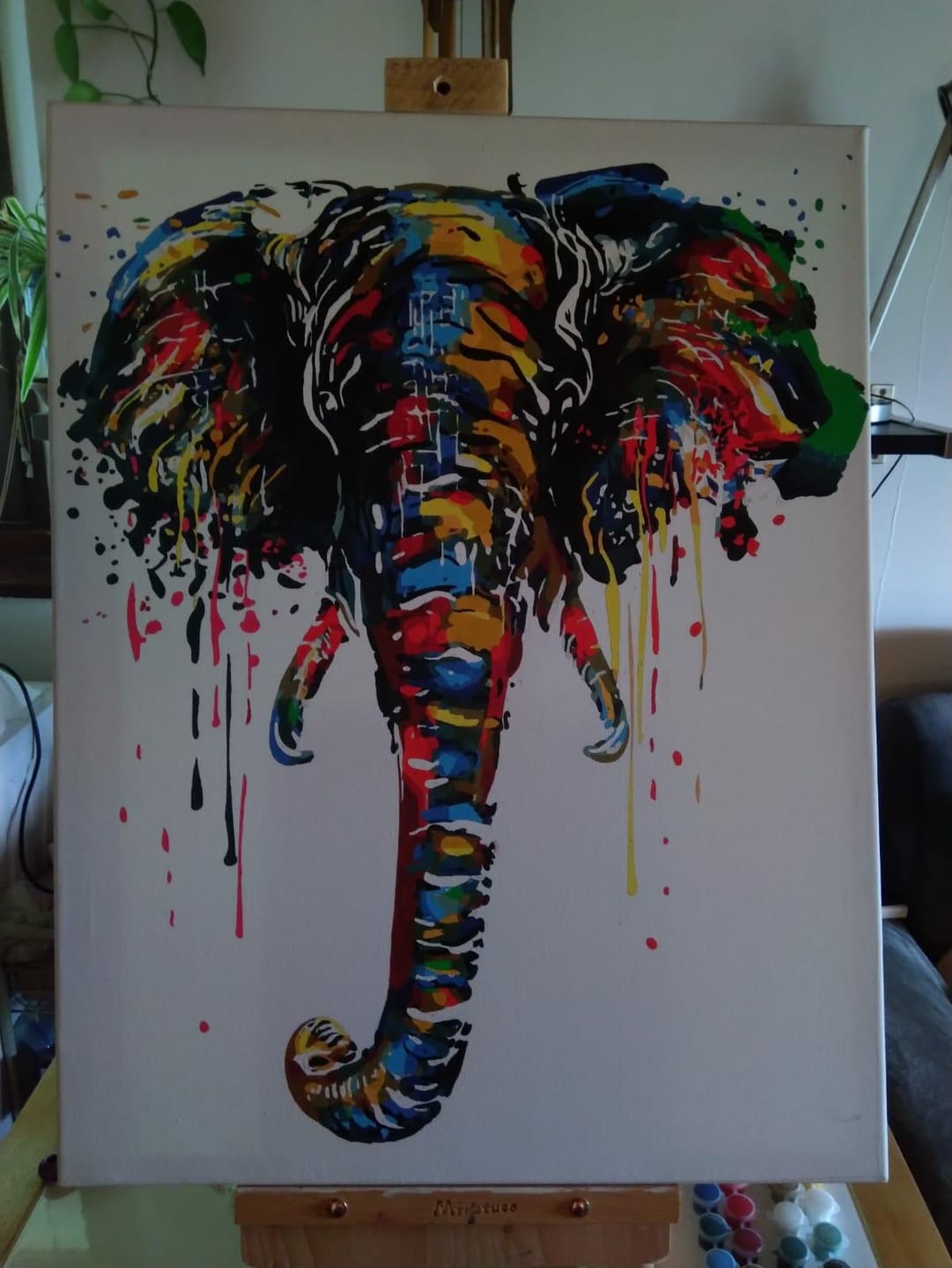 Customer photo review of Peinture Elephant