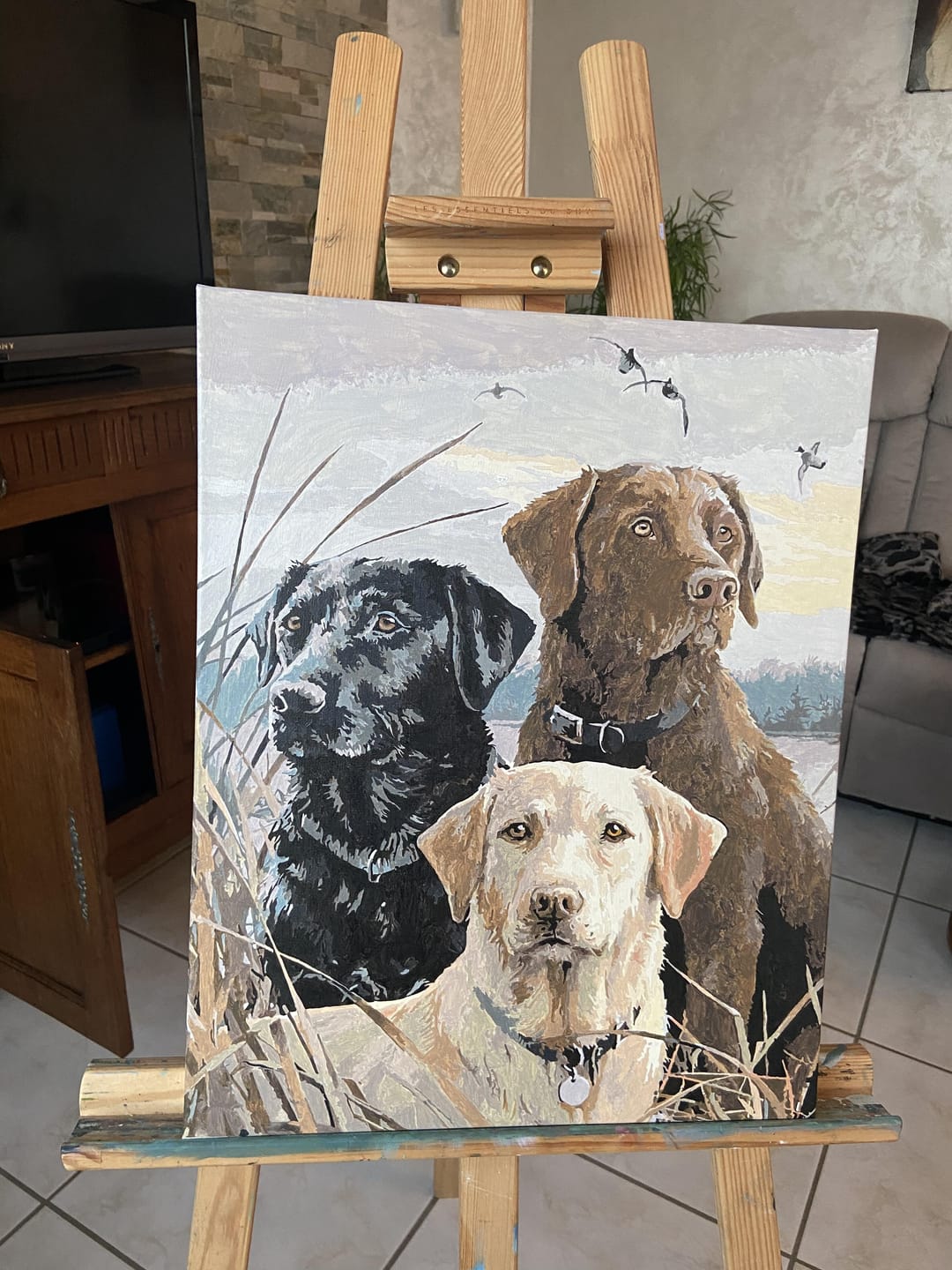 Customer photo review of Trio de Labrador