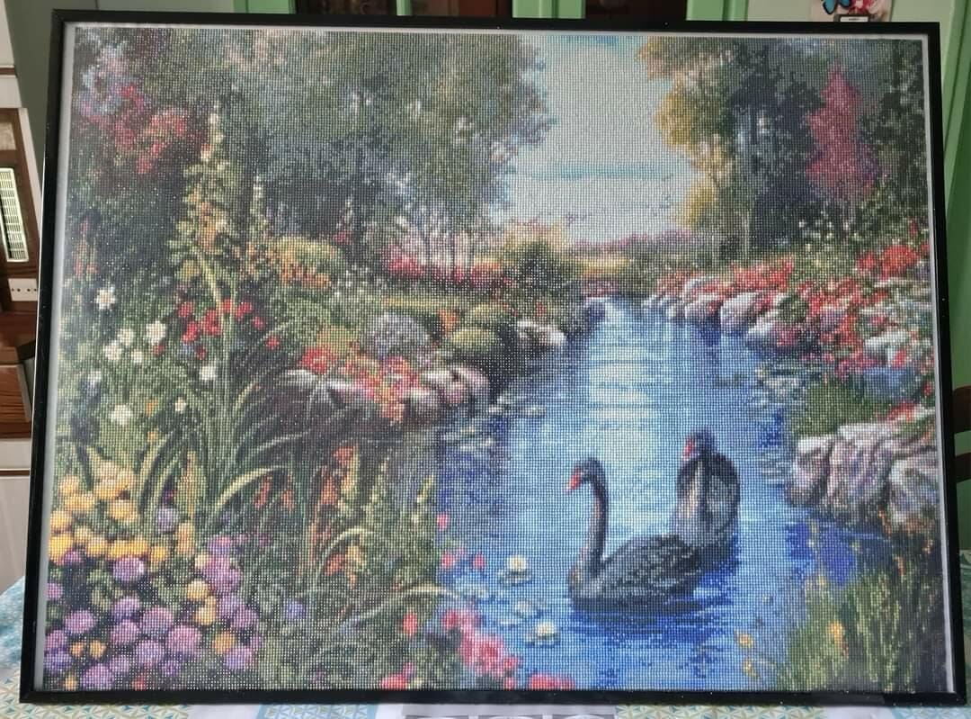 Customer photo review of Broderie Diamant - Cygnes Noirs