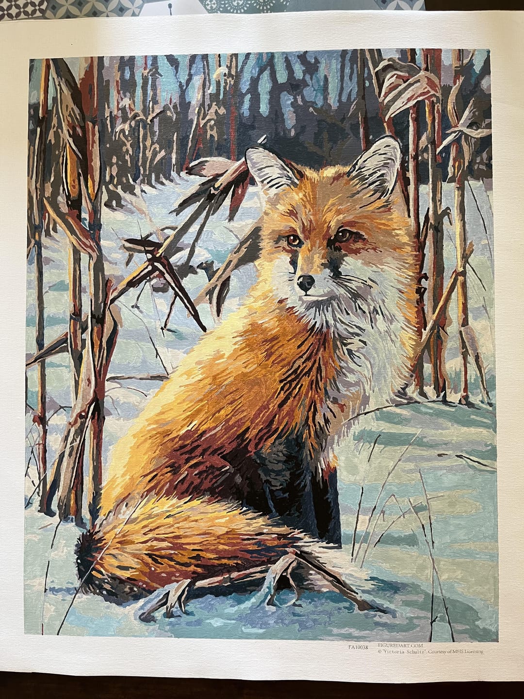 Customer photo review of Renard dans la Neige