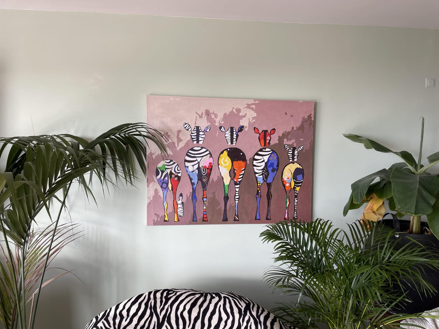 Customer photo review of Zèbres de dos
