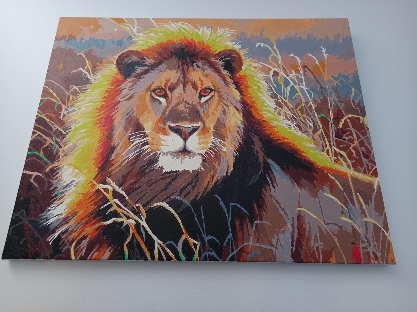 Customer photo review of Lion dans la savane