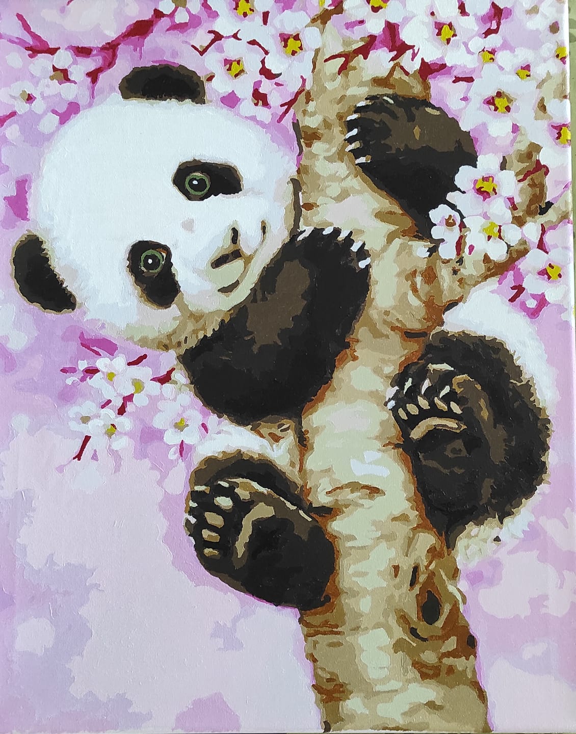 Customer photo review of Bébé Panda