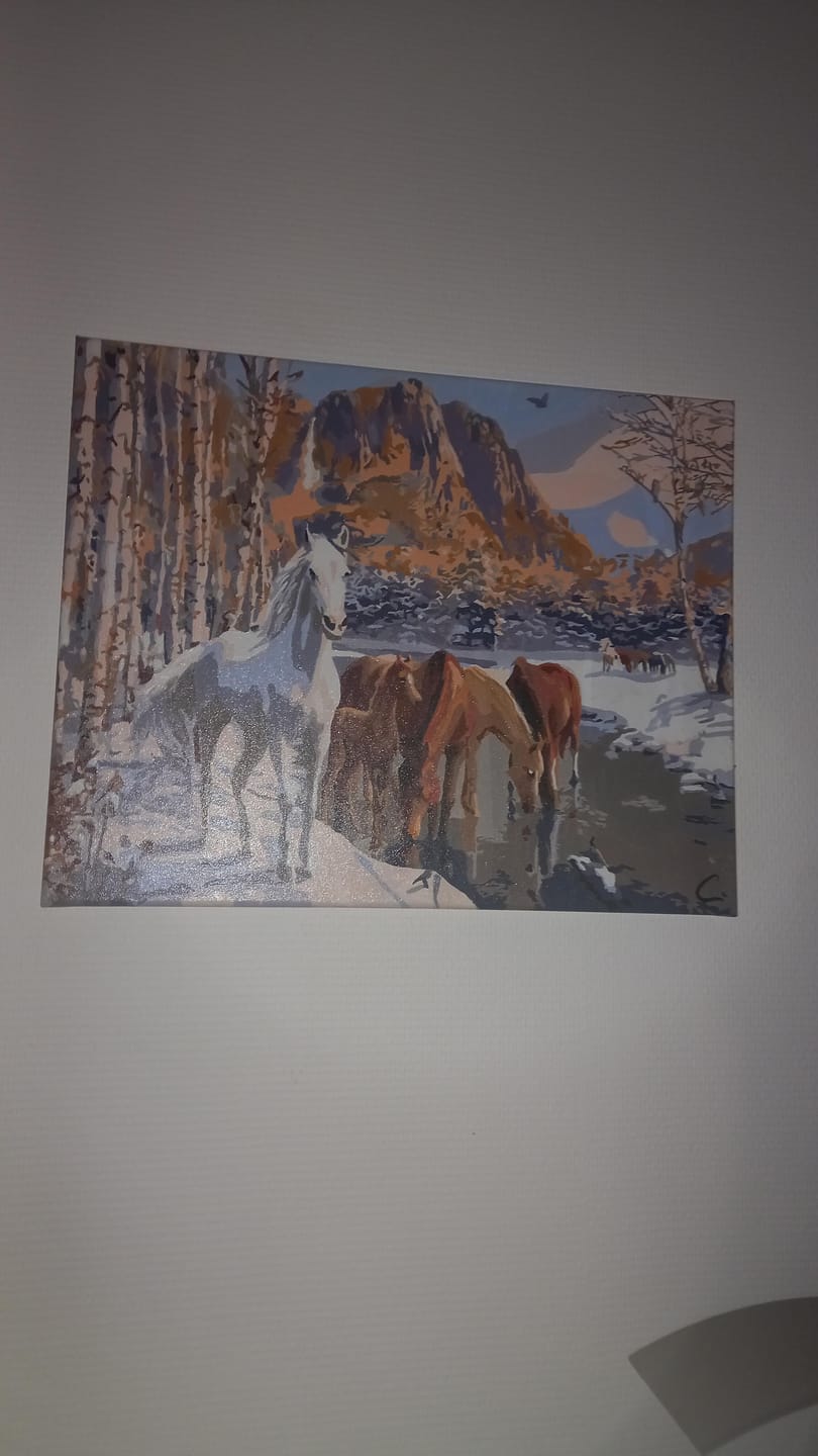 Customer photo review of Chevaux à la fin de l'hiver