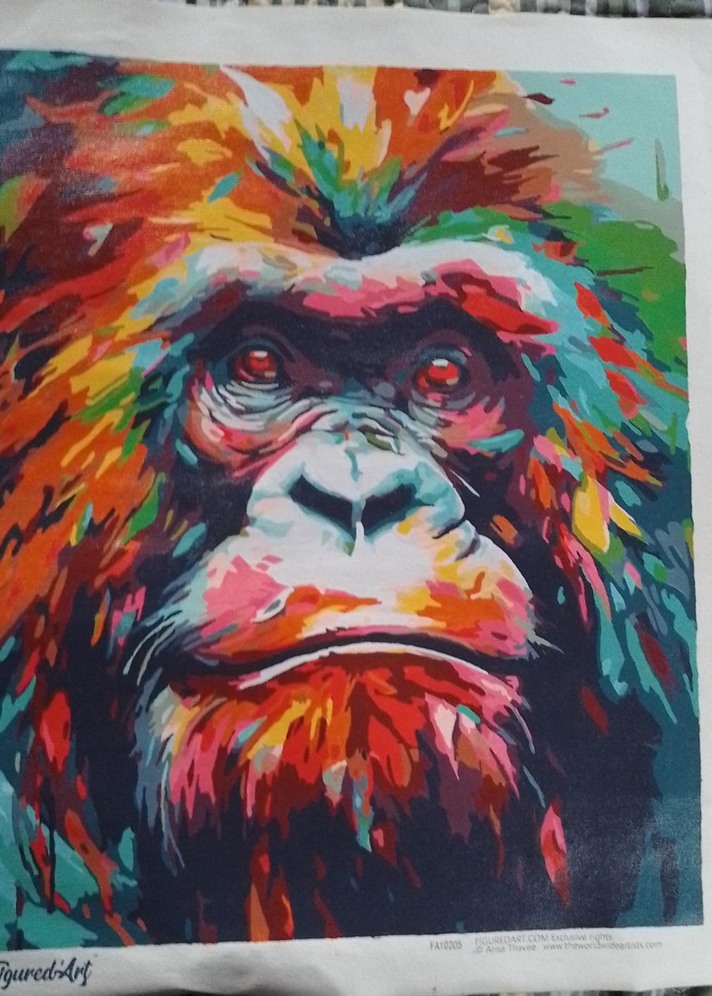 Customer photo review of Orang-outan Coloré Abstrait