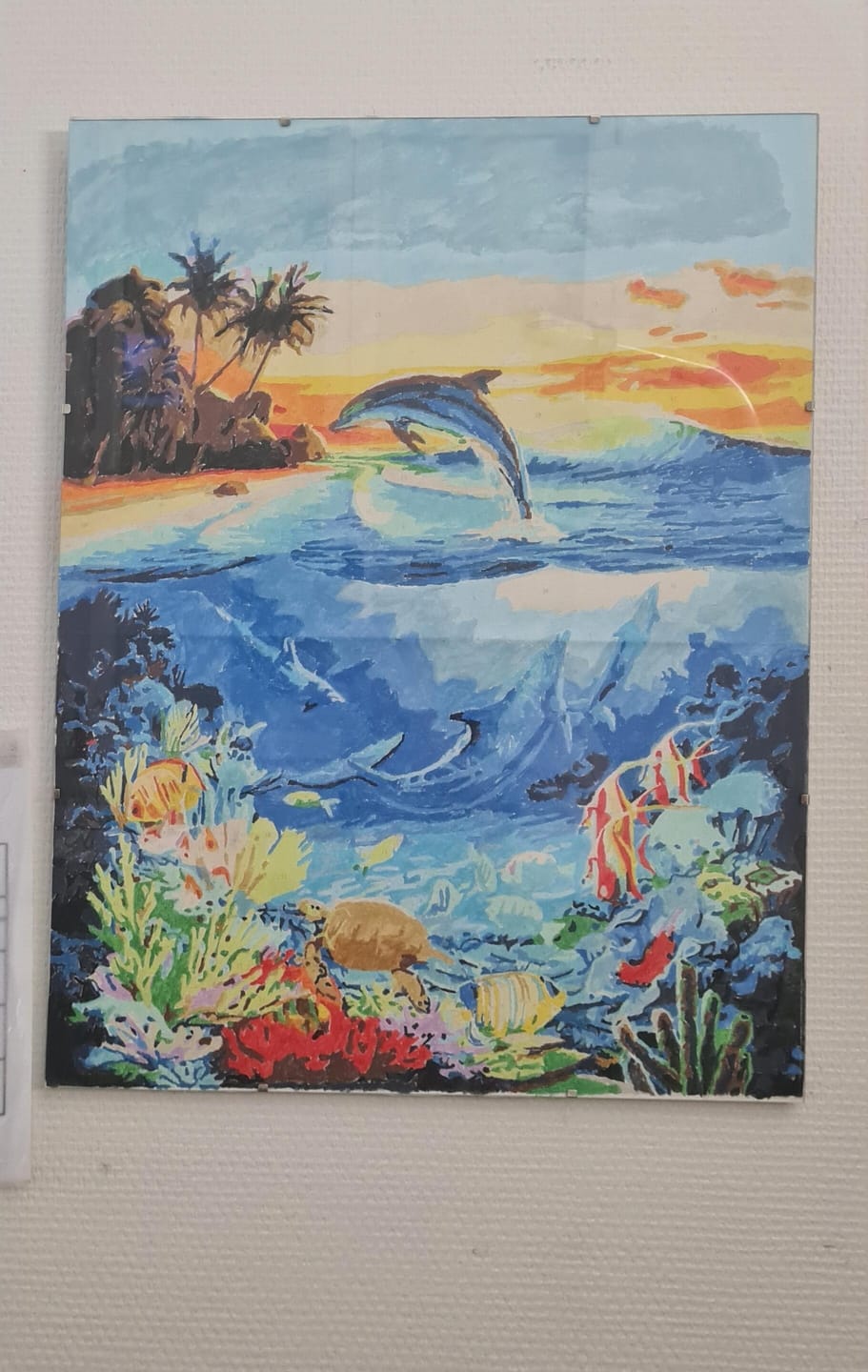 Customer photo review of Dauphins dans le lagon