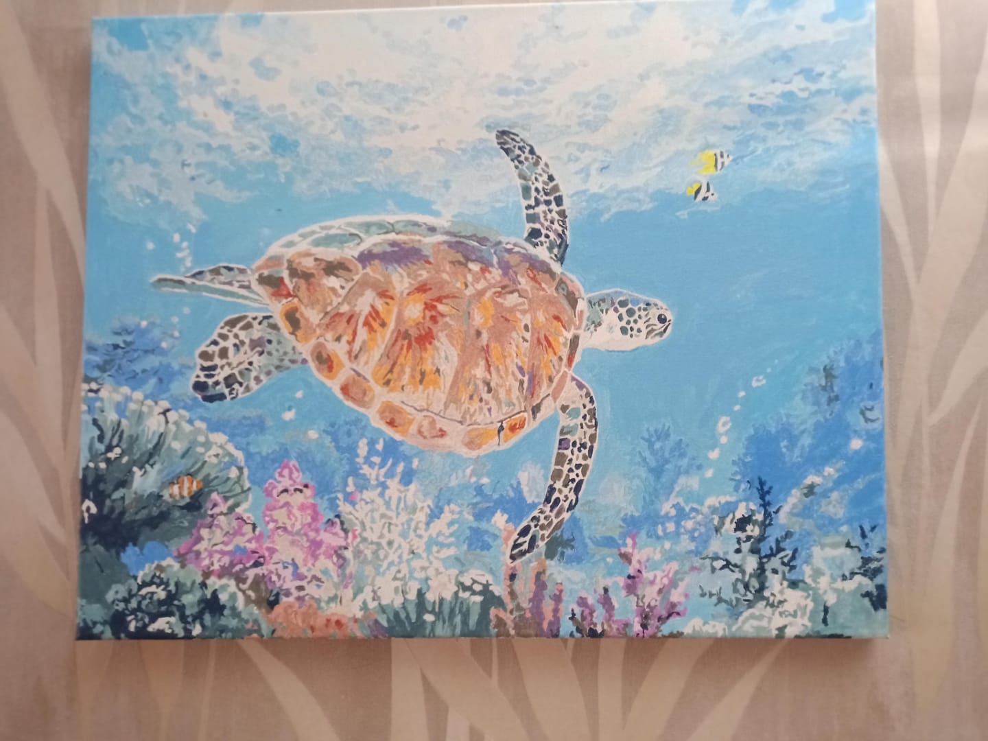 Customer photo review of Tortue en ballade