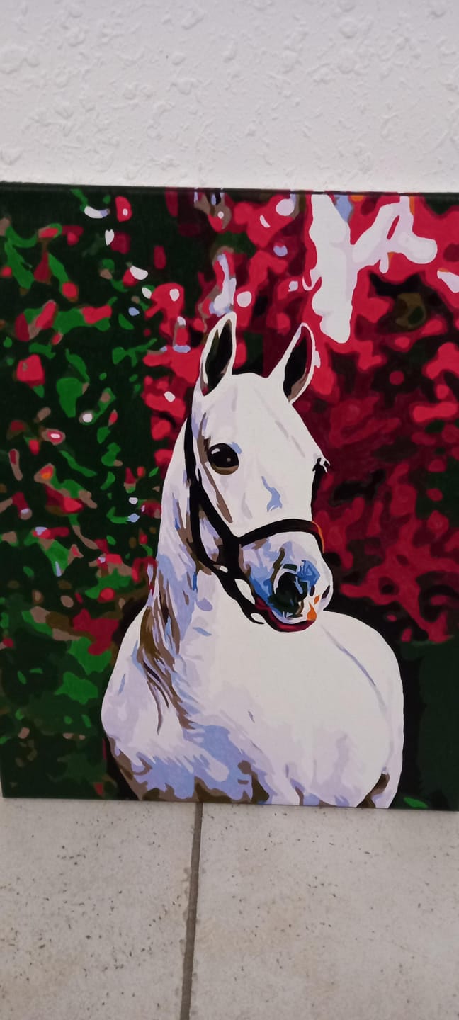 Customer photo review of Cheval et fond coloré