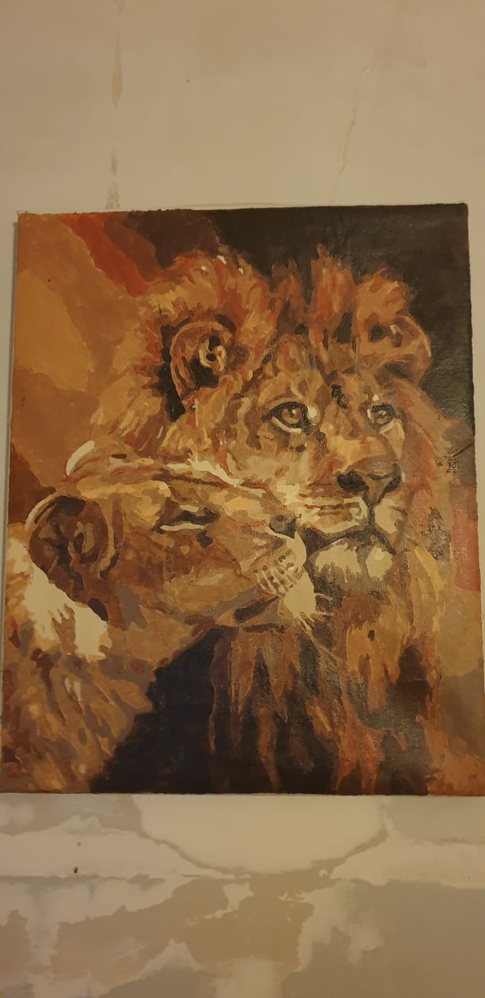 Customer photo review of Couple Lion et Lionne