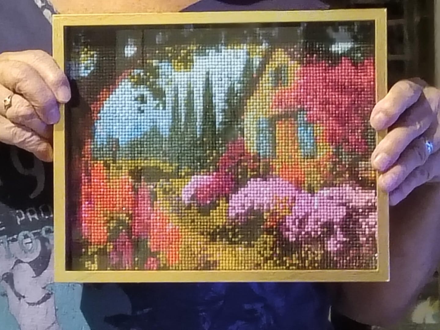 Customer photo review of Broderie Diamant - Jardin et Façade Fleurie