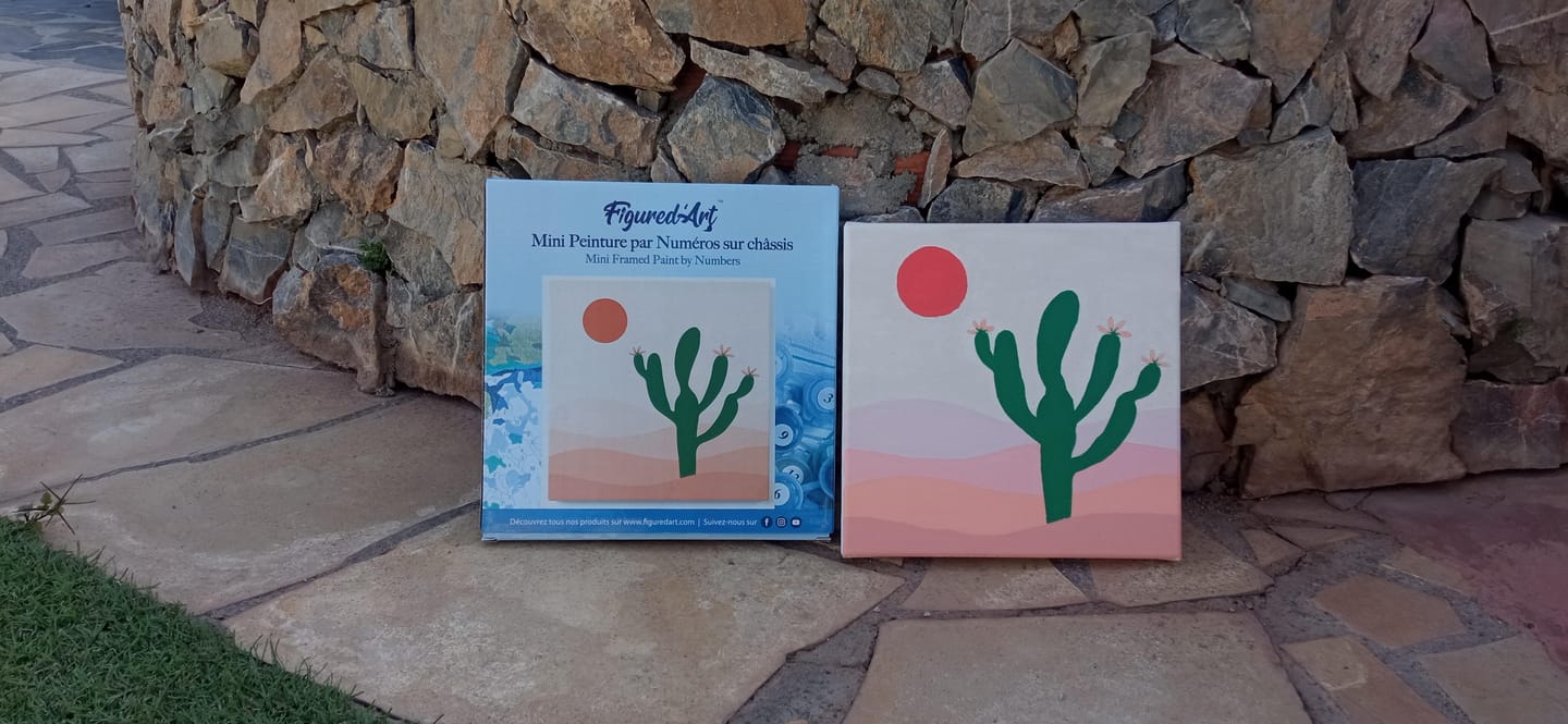 Customer photo review of Mini Peinture par Numéros 20x20cm avec cadre Cactus