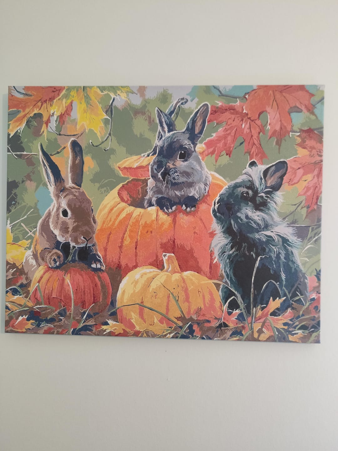 Customer photo review of Trio de Lapins