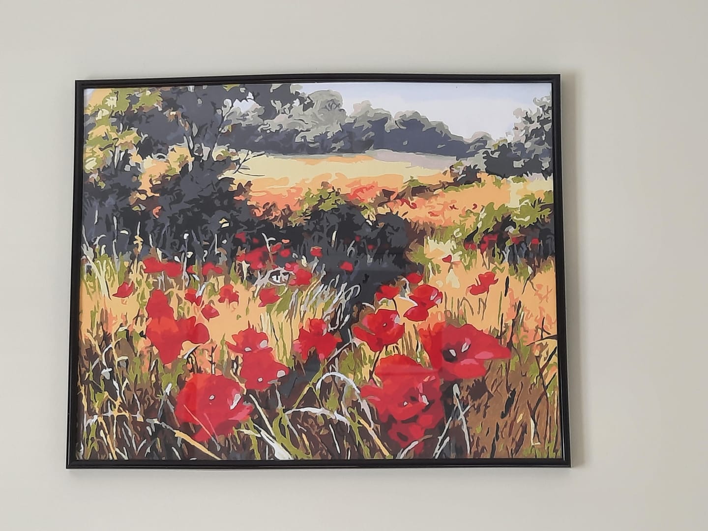 Customer photo review of Coquelicots champêtres