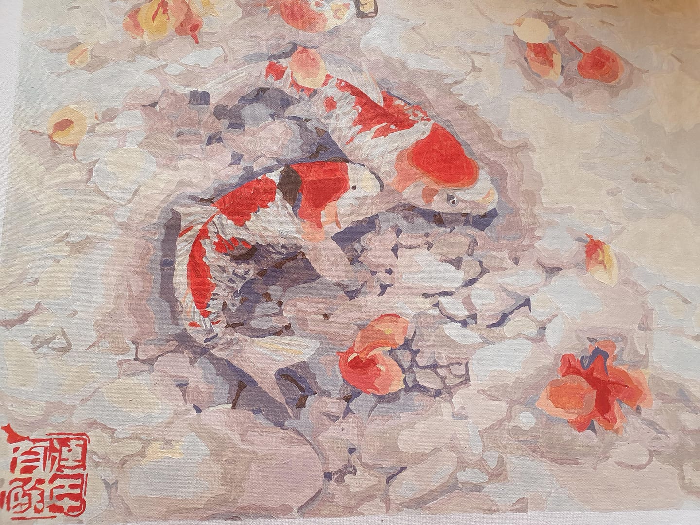 Customer photo review of Duo de Carpes Koi