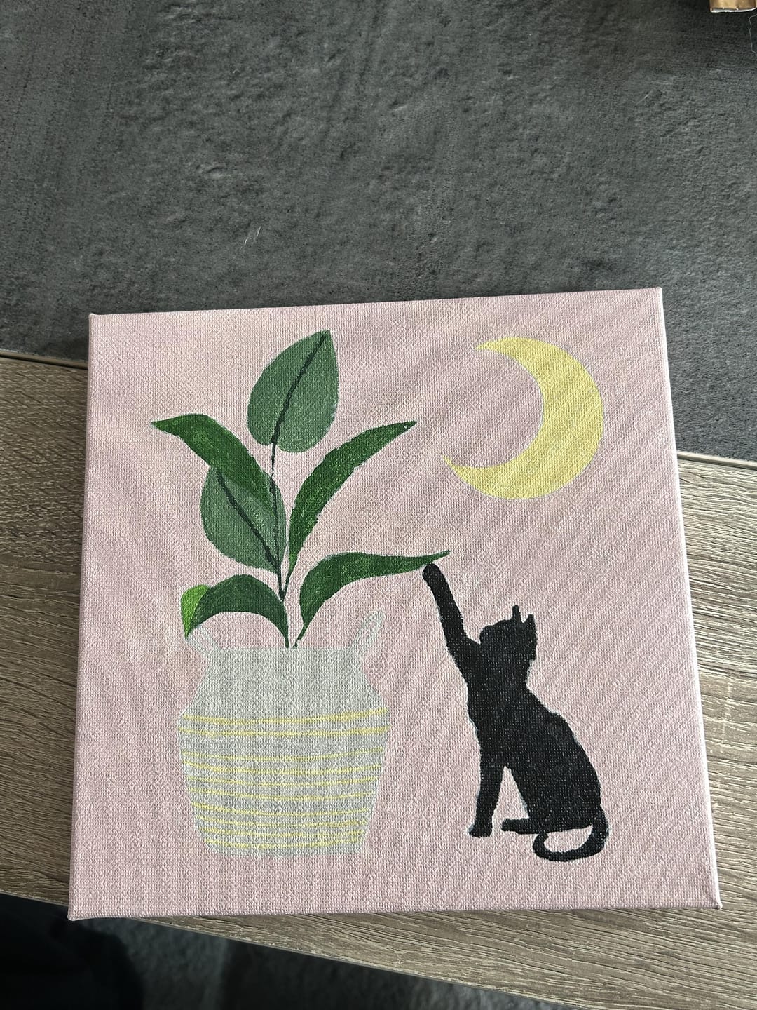 Customer photo review of Mini Peinture par Numéros 20x20cm avec cadre Chaton et Plante au clair de Lune