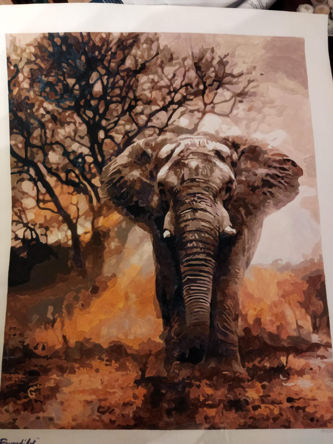 Customer photo review of Eléphant solitaire