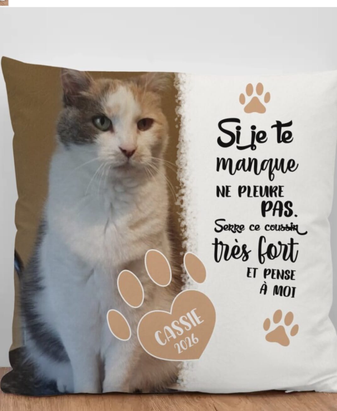 Customer photo review of Si je te manque - Coussin personnalisé