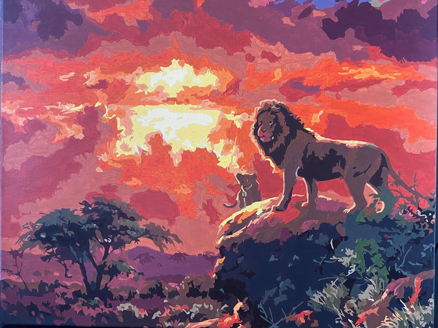 Customer photo review of Lion au coucher de soleil