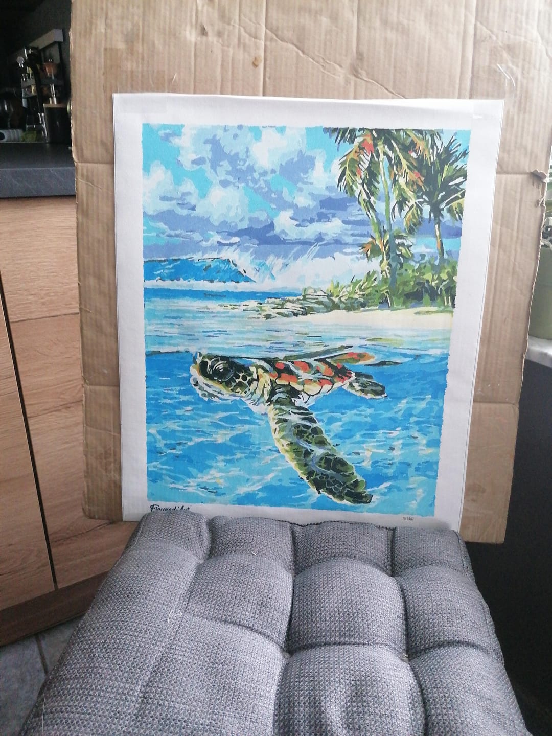 Customer photo review of Tortue détendue