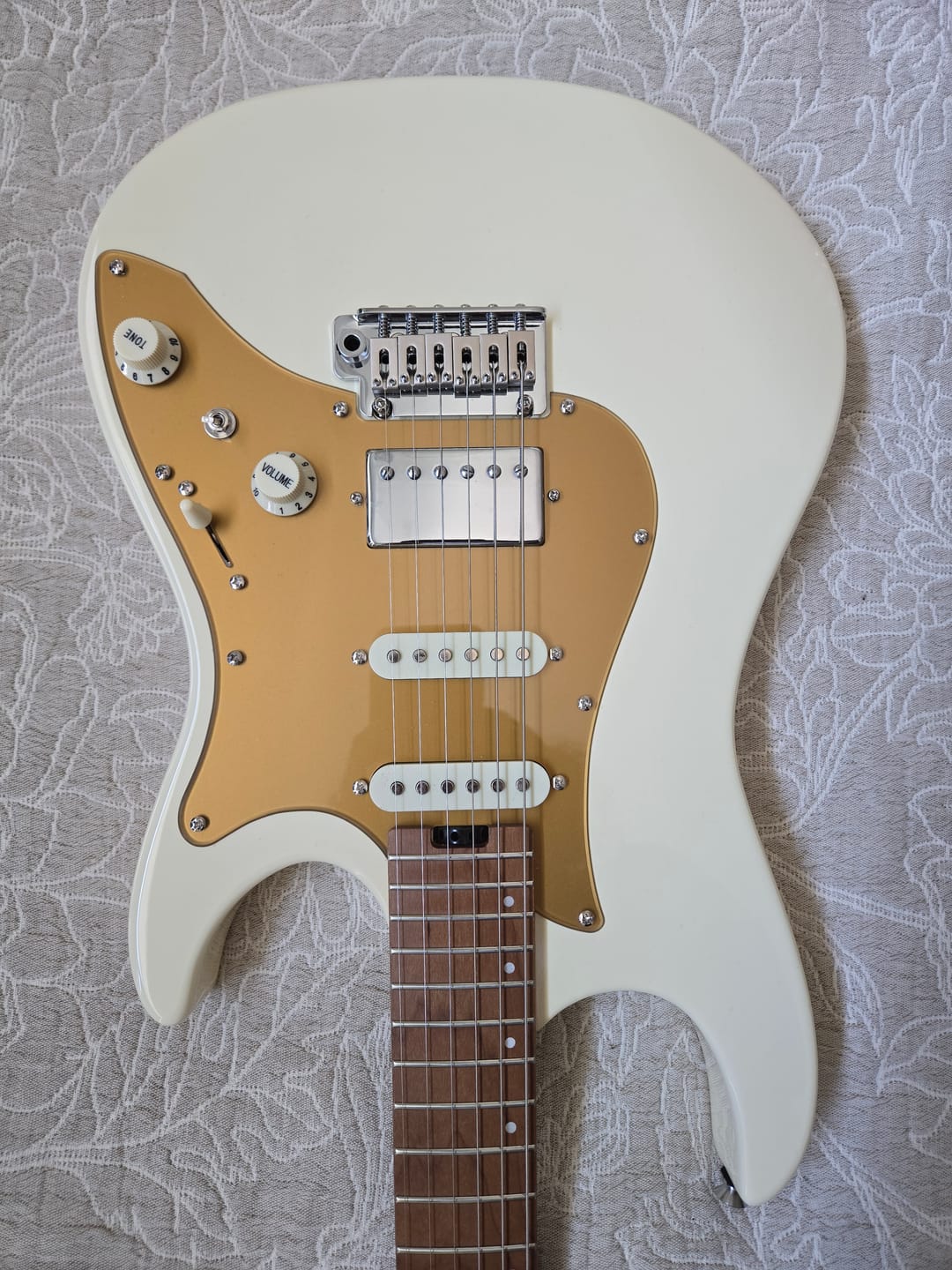 Customer photo review of Donner DST-550 Electric Guitar