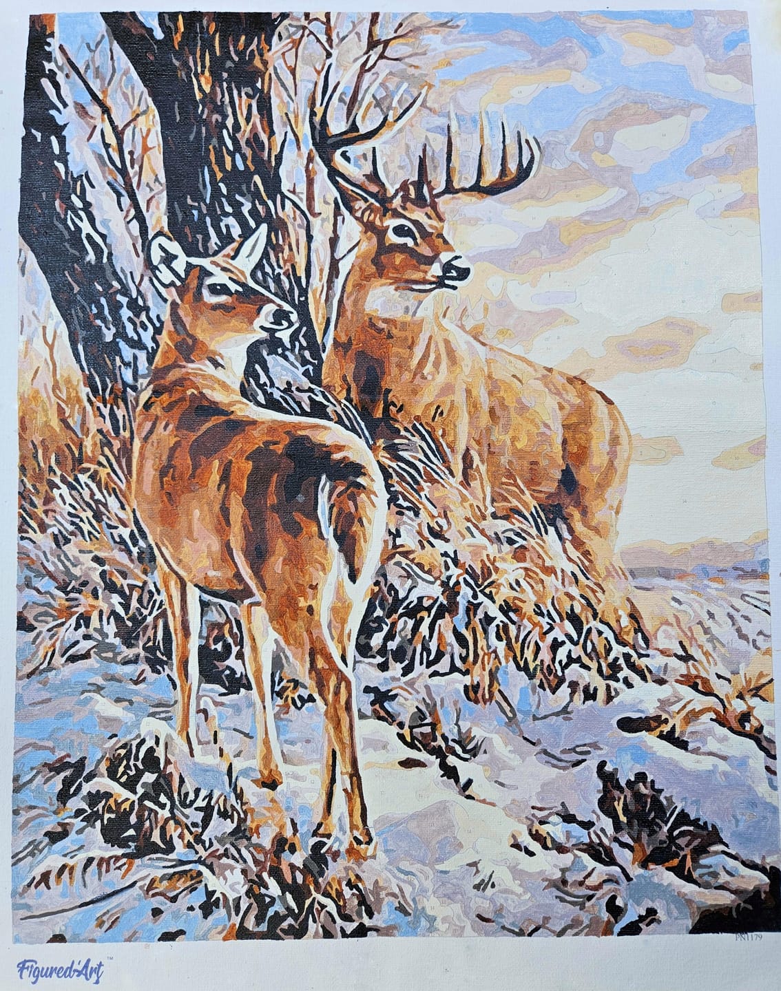 Customer photo review of Cerfs en Hiver
