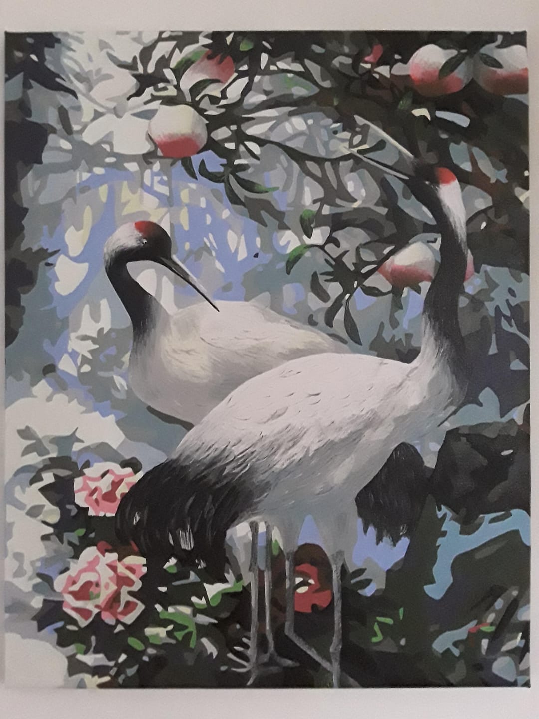 Customer photo review of Grues à Tête rouge