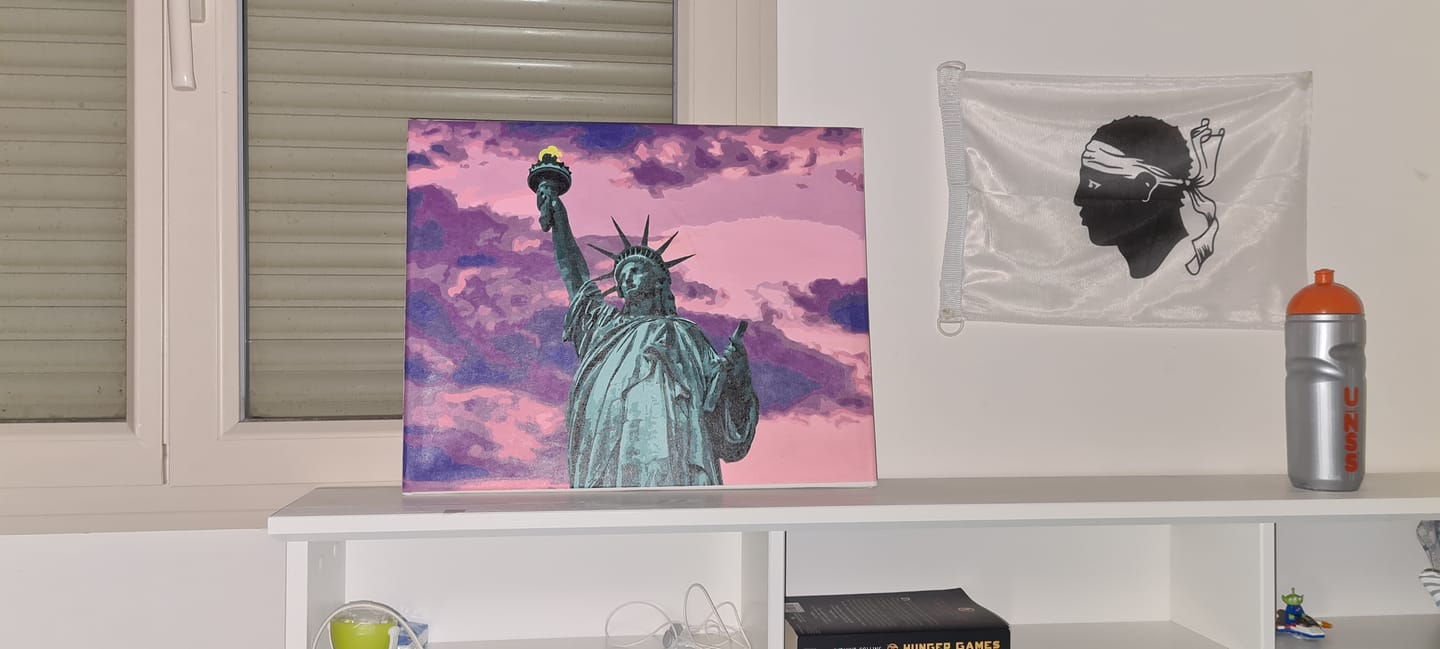 Customer photo review of Statue de la Liberté et Ciel rosé