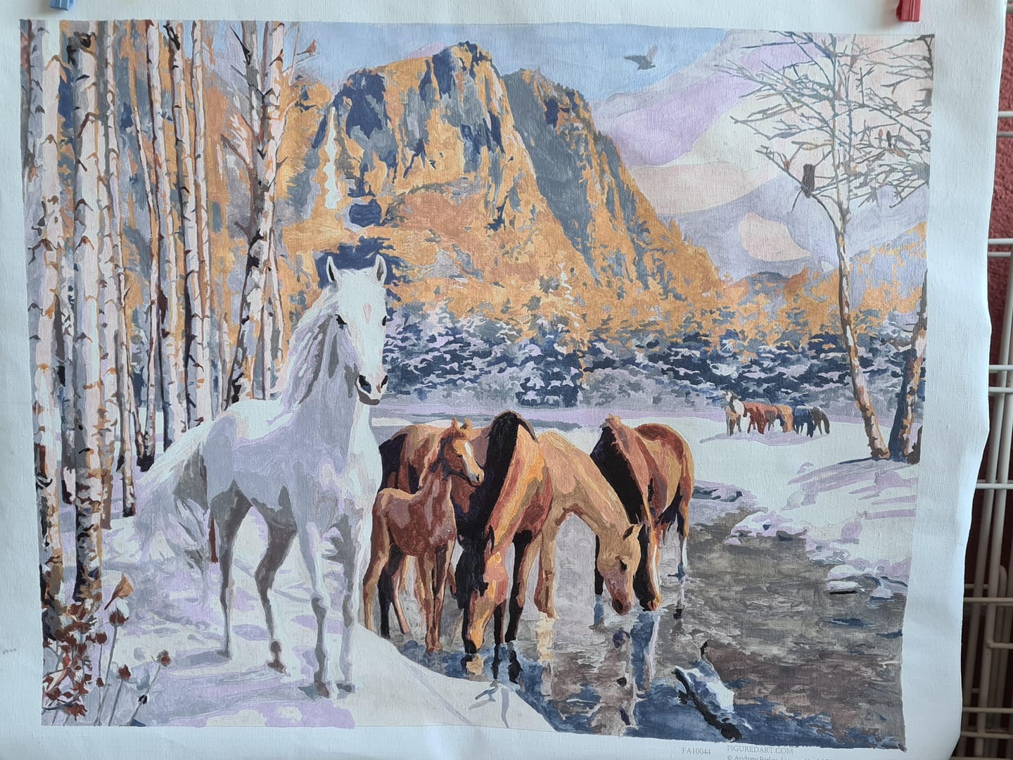 Customer photo review of Chevaux à la fin de l'hiver