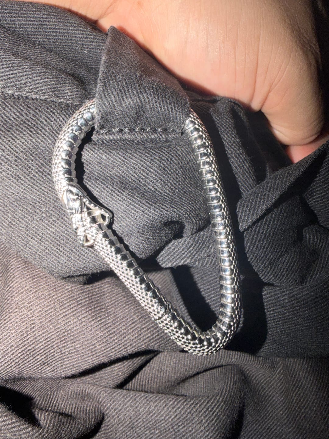 Customer photo review of OUROBOROS CARABINER
