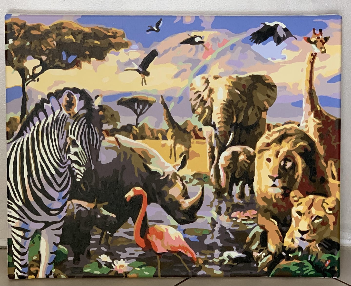Customer photo review of Les Animaux d'Afrique